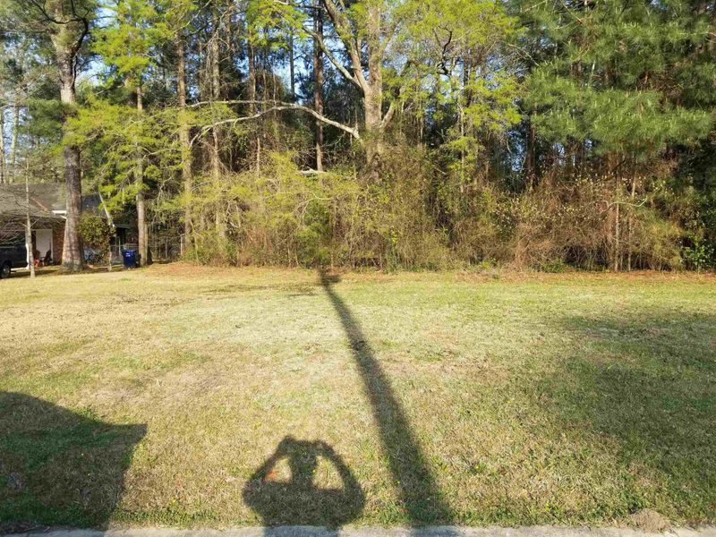 238 Cedar St Lot 21, Smithfield, NC 27577