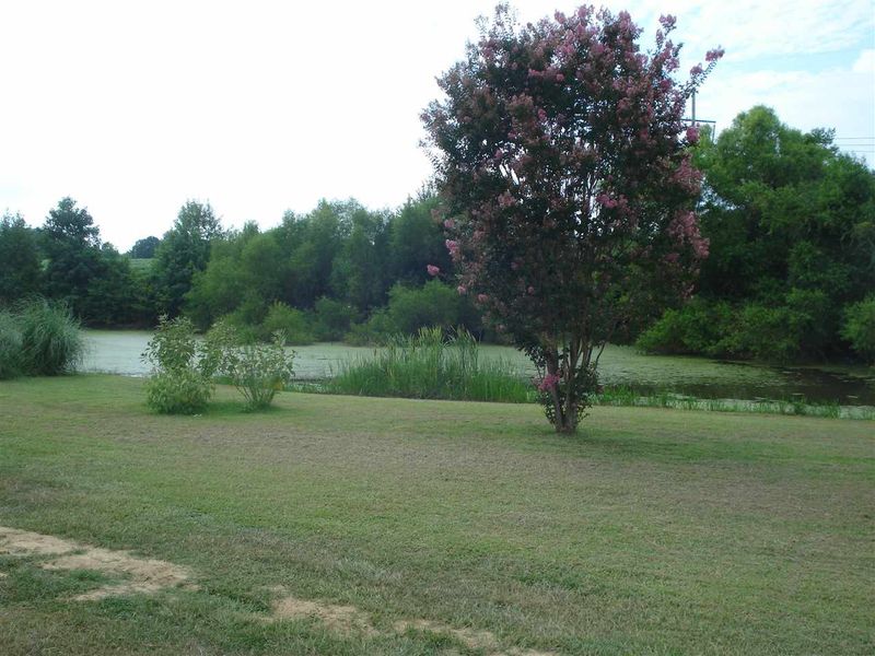 238 Wilson Lucas Rd, Dunn, NC 28334