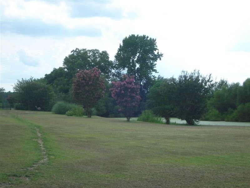 238 Wilson Lucas Rd, Dunn, NC 28334