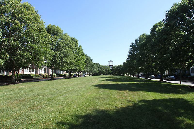 2402 St Pauls Sq, Raleigh, NC 27614
