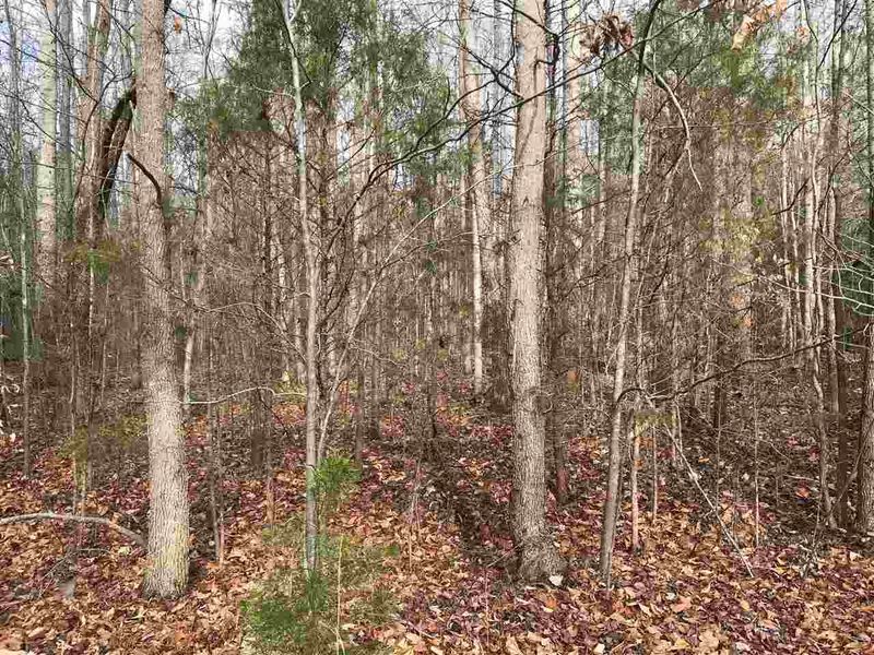 2412 Patrick Dr Lot -, Mebane, NC 27302