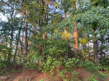 2413 Holiday Dr Lot 4, Raleigh, NC 27610