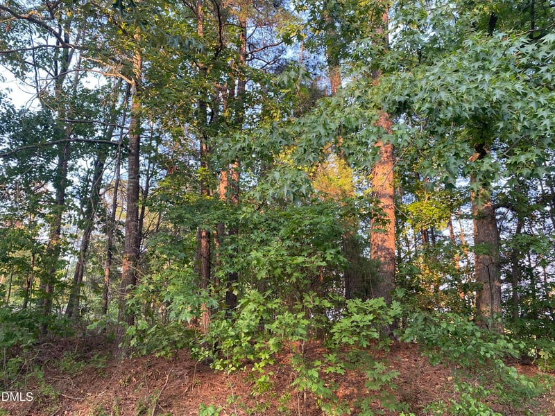 2413 Holiday Dr Lot 4, Raleigh, NC 27610