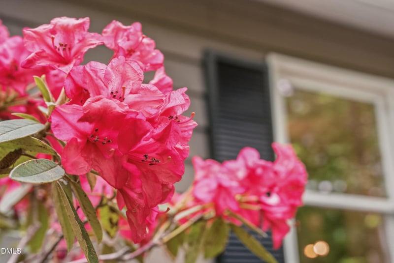 2415 Western Park Ln, Hillsborough, NC 27278