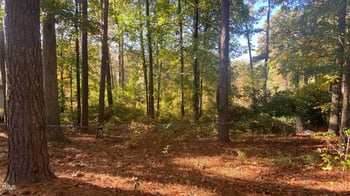 242 Bayfield Loop Lot E, Fayetteville, NC 28314