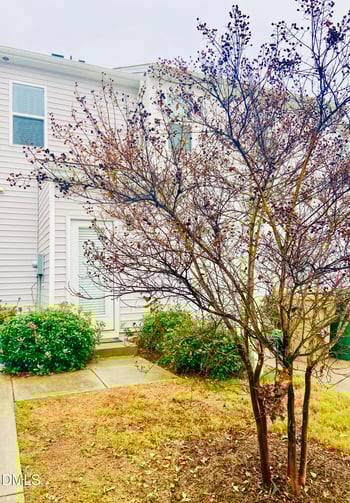242 Liam St, Clayton, NC 27520