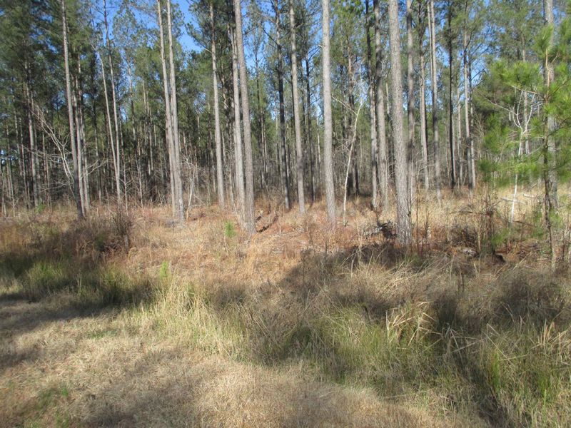 2420 Avent Ferry Rd Lot 999999, Holly Springs, NC 27540