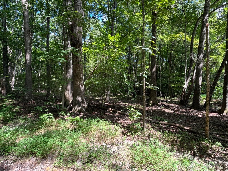 2424 Shadetree Rd, Hillsborough, NC 27278