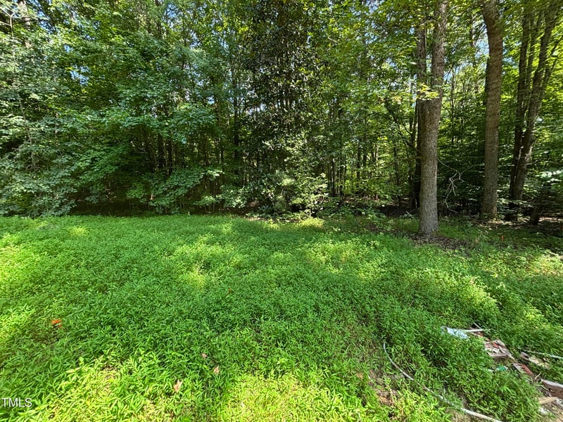 2424 Shadetree Rd, Hillsborough, NC 27278