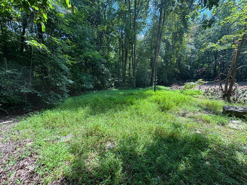 2424 Shadetree Rd, Hillsborough, NC 27278