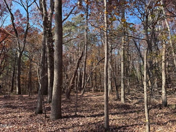 243 Gracehope Ln Lot C, Chapel Hill, NC 27516