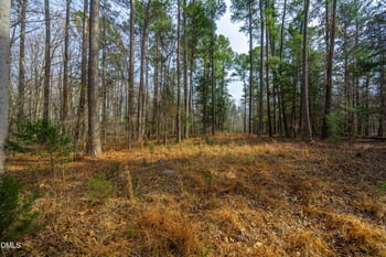 2430 Jones Ferry Rd Lot 2C, Pittsboro, NC 27312