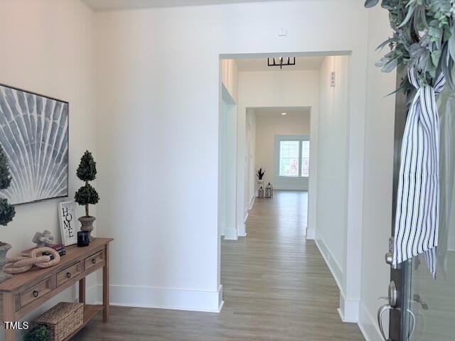 244 Bevis Marks Dr, Fuquay Varina, NC 27526