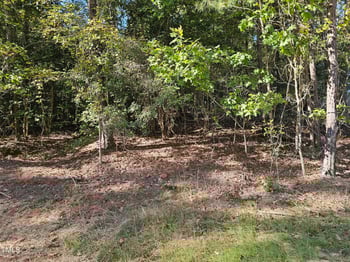 244 Sequoia Dr, Louisburg, NC 27549