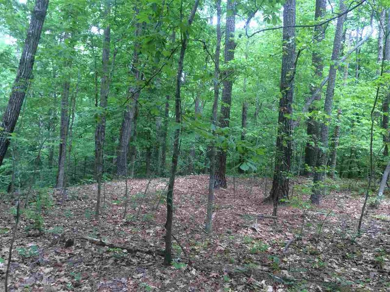 2449 Lystra Rd, Chapel Hill, NC 27517