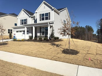 245 Canyon Gap Way, Raleigh, NC 27610