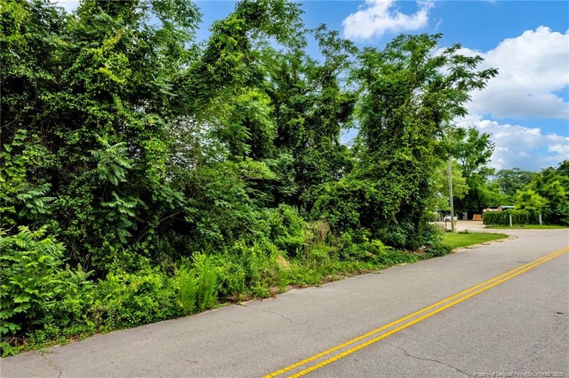 245 Mciver St, Fayetteville, NC 28301