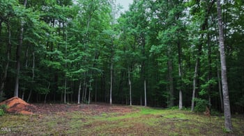 2450 Maeve Ln, Durham, NC 27705