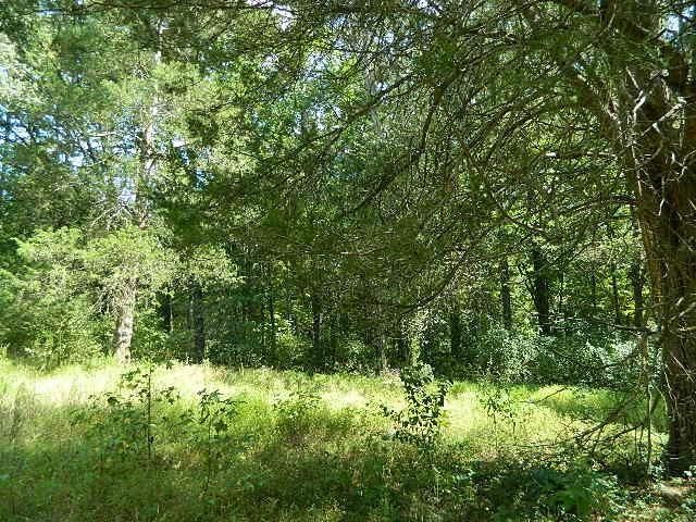 2477 Hanks Chapel Rd, Pittsboro, NC 27312