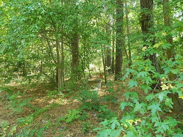 2477 Hanks Chapel Rd, Pittsboro, NC 27312
