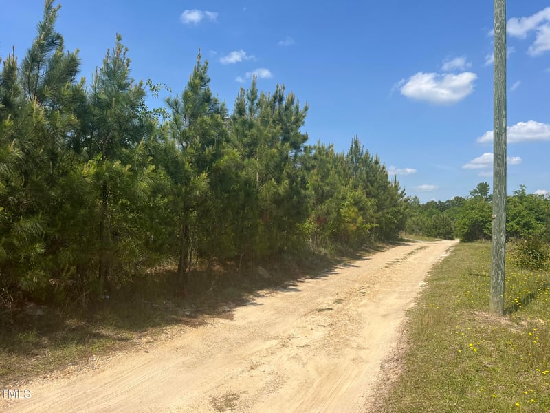 248-A Gilbert Rd, Benson, NC 27504