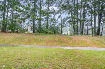 248 Horseshoe Pl, Angier, NC 27501