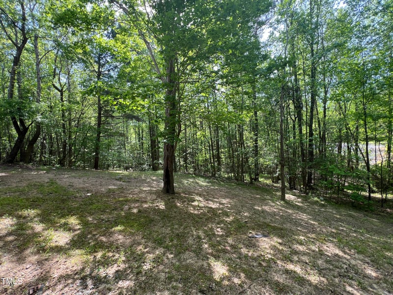 249 Finley Ct, Clayton, NC 27520