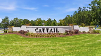 249 Mollie Meadow Dr, Zebulon, NC 27597