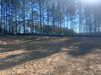 25 Blackhorn Ct, Pittsboro, NC 27312