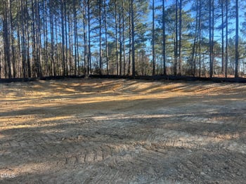 25 Blackhorn Ct, Pittsboro, NC 27312