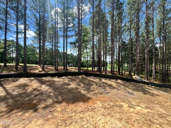 25 Blackhorn Ct, Pittsboro, NC 27312