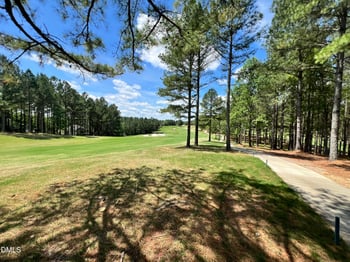 25 Blackhorn Ct, Pittsboro, NC 27312