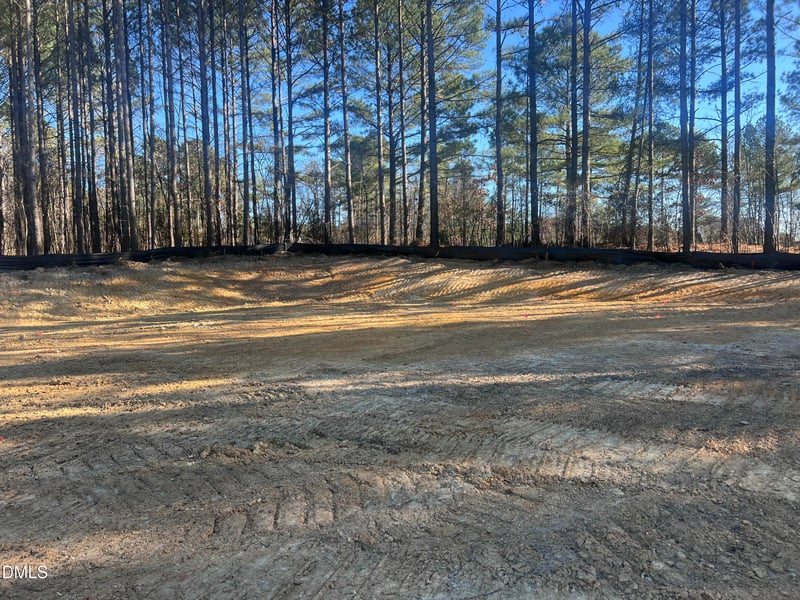 25 Blackhorn Ct, Pittsboro, NC 27312