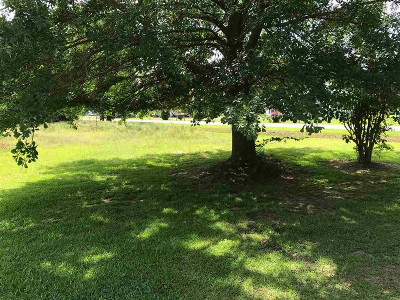 25 Brogden School Rd, Smithfield, NC 27577