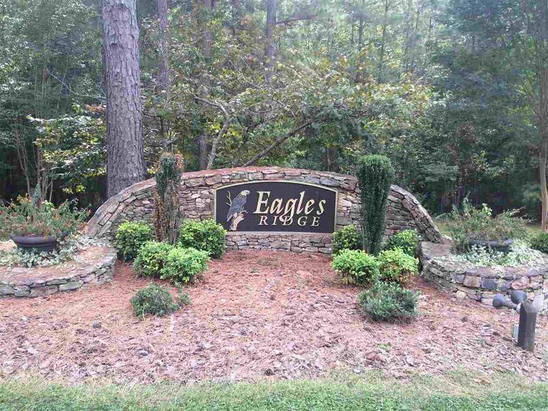 250 Bald Eagle Dr Lot 21, Pittsboro, NC 27312