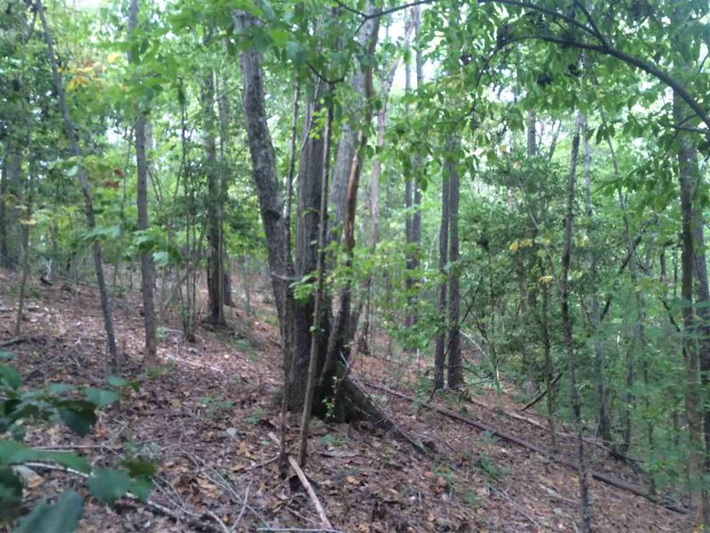 250 Bald Eagle Dr Lot 21, Pittsboro, NC 27312