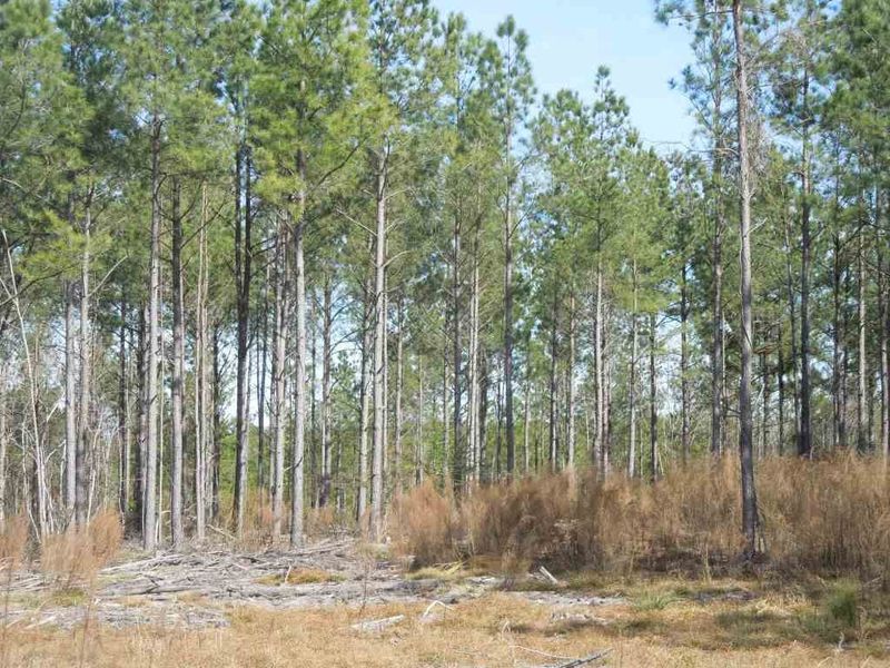 2503 Baptist Rd Lot 2, Durham, NC 27703