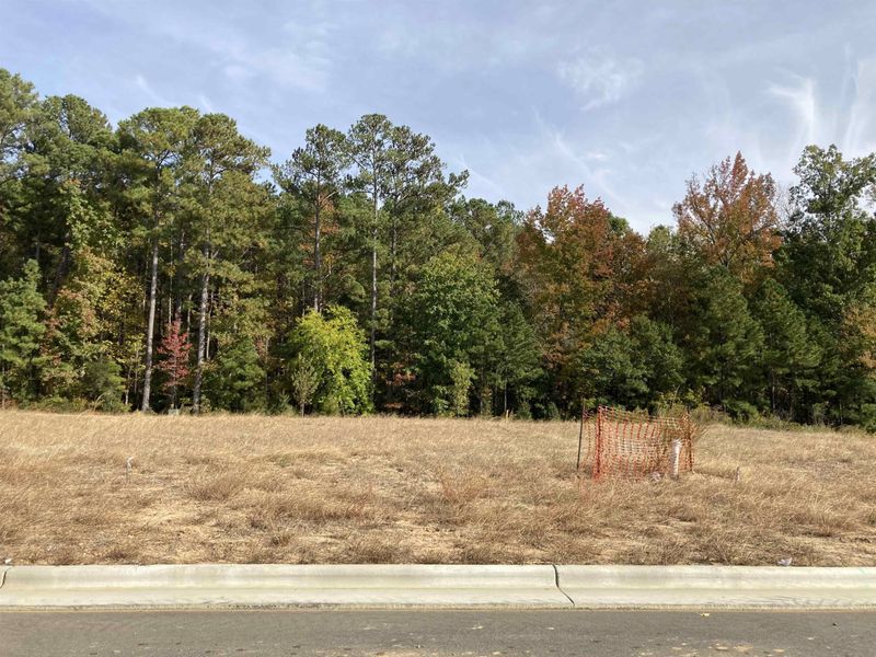 2505 Hutch Ln #252, Apex, NC 27523