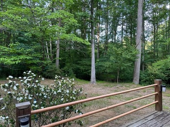 2505 Winburn Ave, Durham, NC 27704