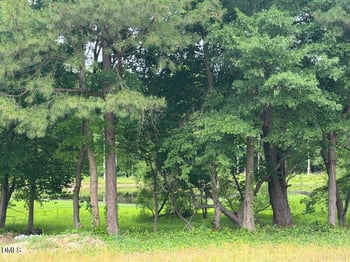 2509 Rosslare Pond Trl, Wendell, NC 27591