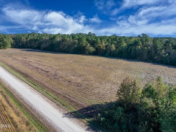 251 Red Wells Rd, Spring Hope, NC 27882