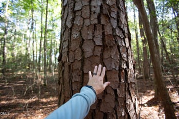 251 Red Wells Rd, Spring Hope, NC 27882