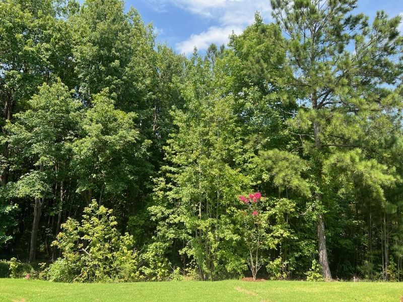 2517 Legrande Way Carpenter Square Lot 79, Cary, NC 27519