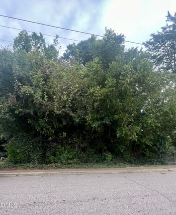 252 Front St Lot 1, Clayton, NC 27520