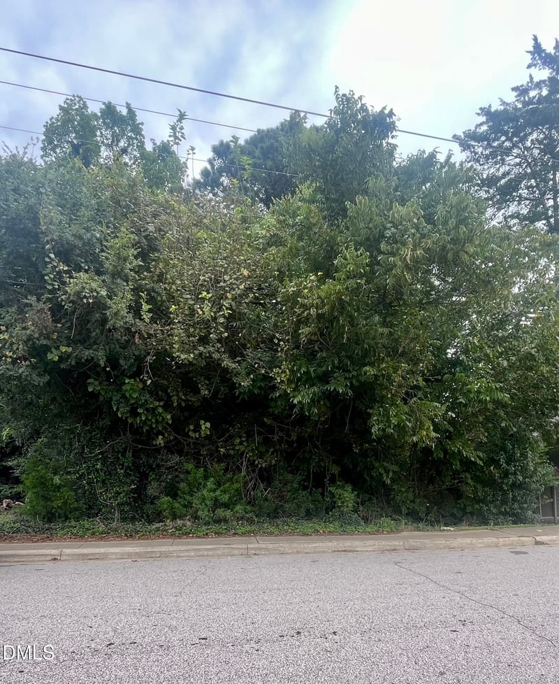 252 Front St Lot 1, Clayton, NC 27520