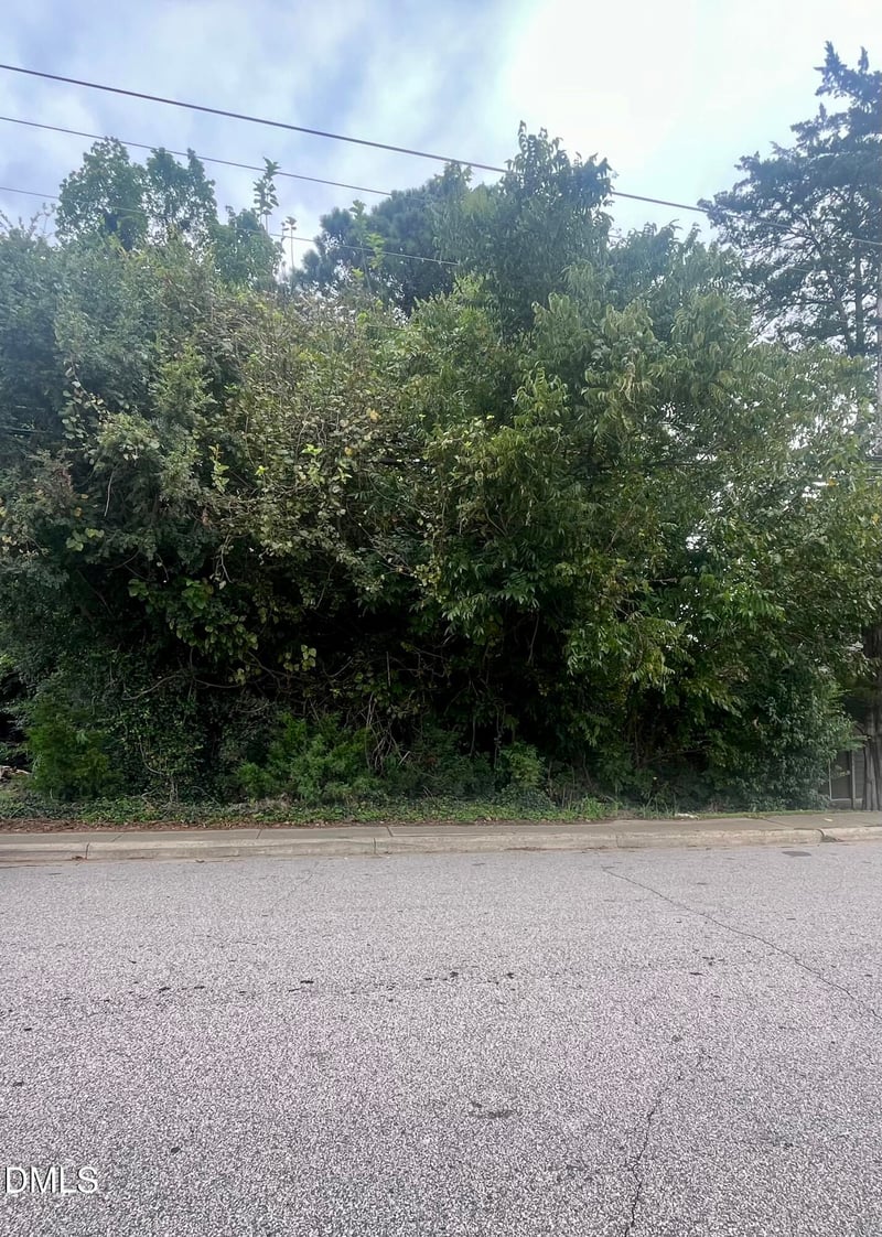 252 Front St Lot 1, Clayton, NC 27520