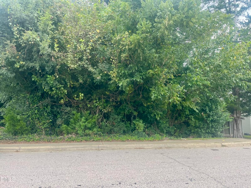 252 Front St Lot 1, Clayton, NC 27520