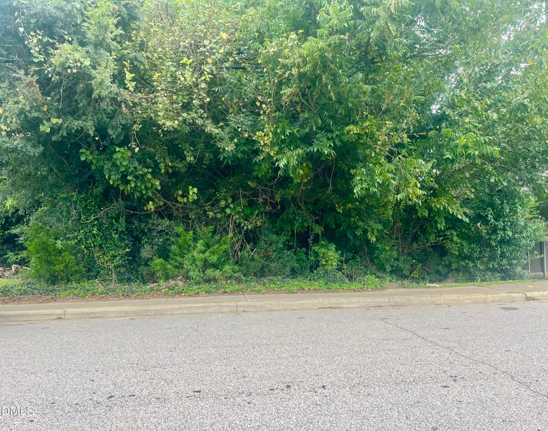 252 Front St Lot 1, Clayton, NC 27520