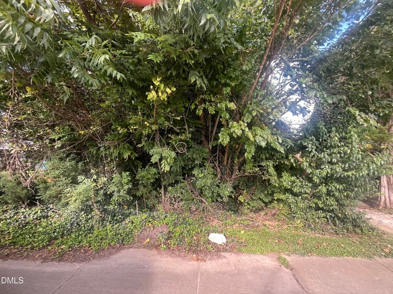 252 Front St Lot 1, Clayton, NC 27520
