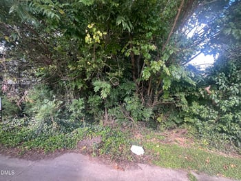 252 Front St Lot 1, Clayton, NC 27520